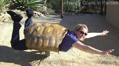 Tucson turtle suit